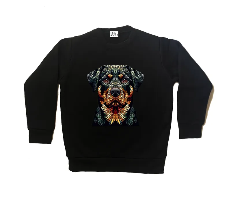 Triangulated dog sweatshirt 12