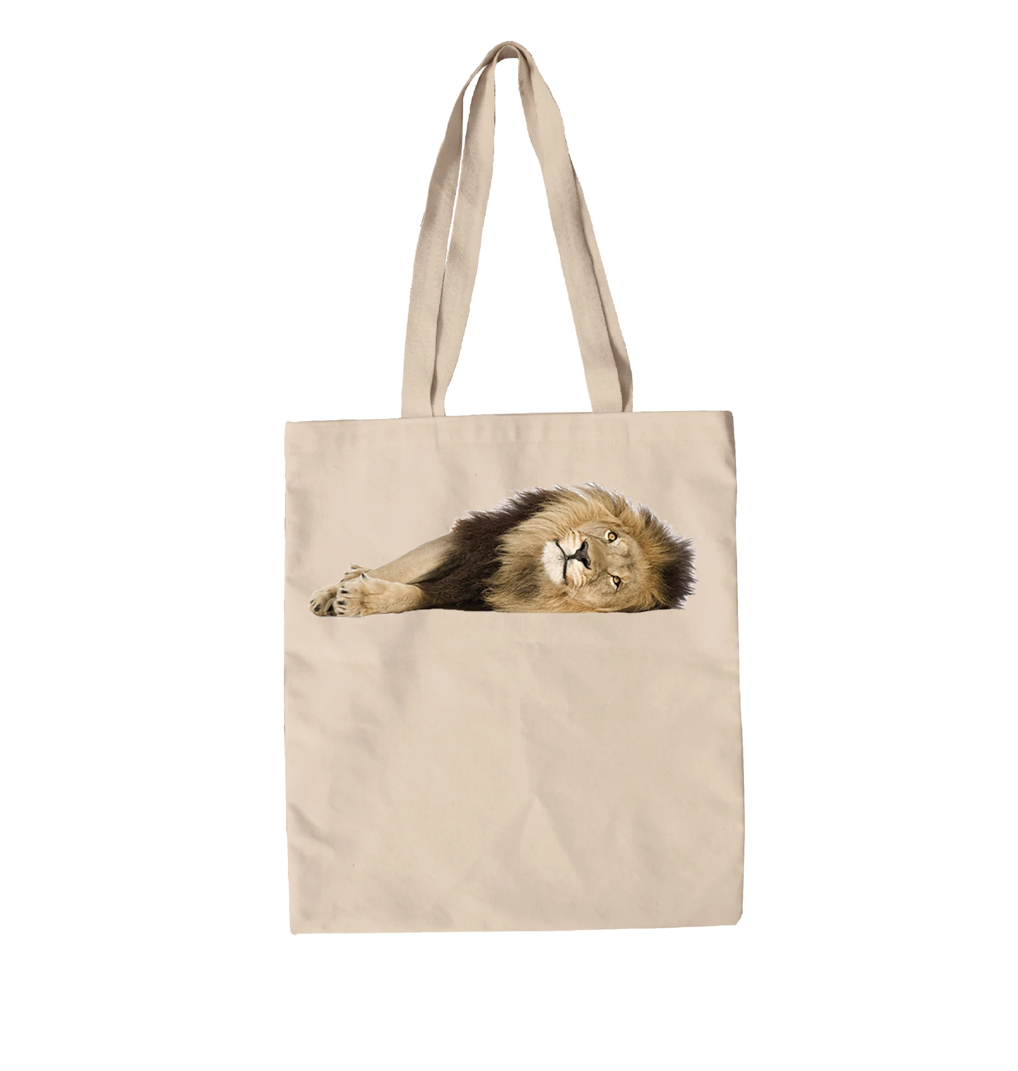 תיק בד אריה שוכב