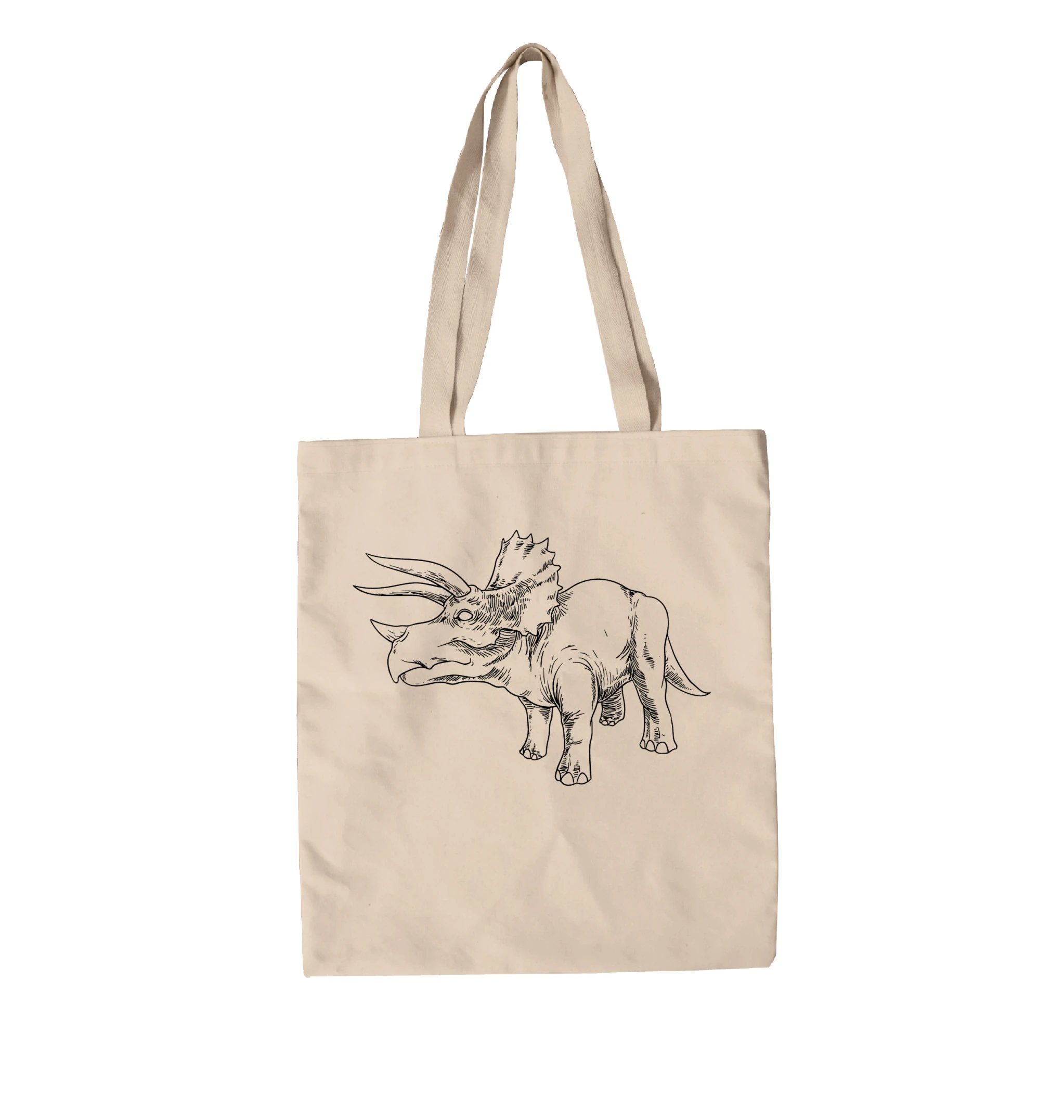 תיק בד דינוזאור מאוייר