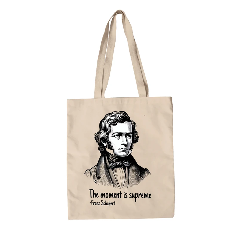 תיק בד שוברט - הרגע הוא עילאי