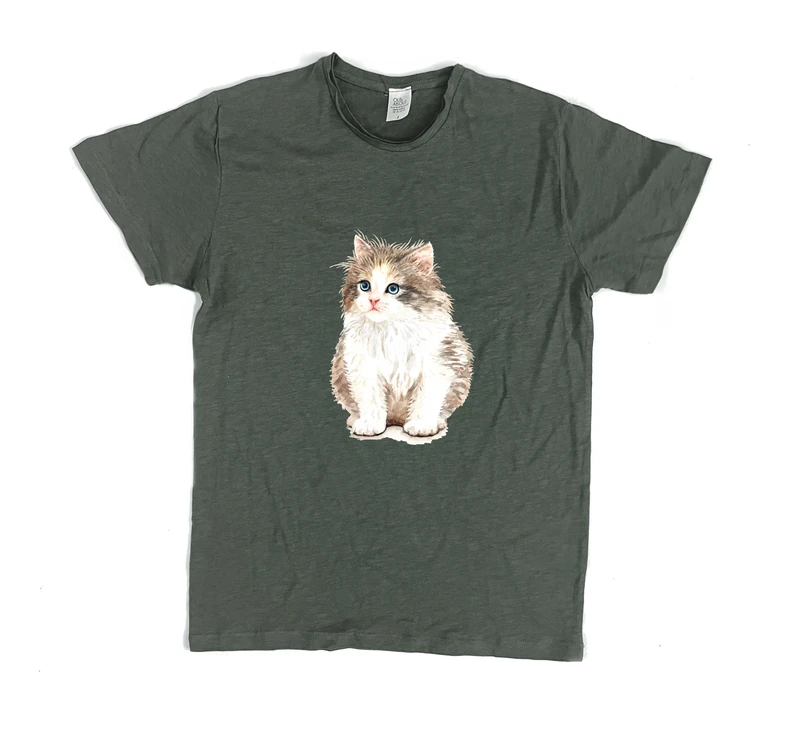 פרמיום טי חתלתול