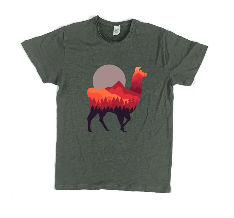 פרמיום טי אלפקה במדבר