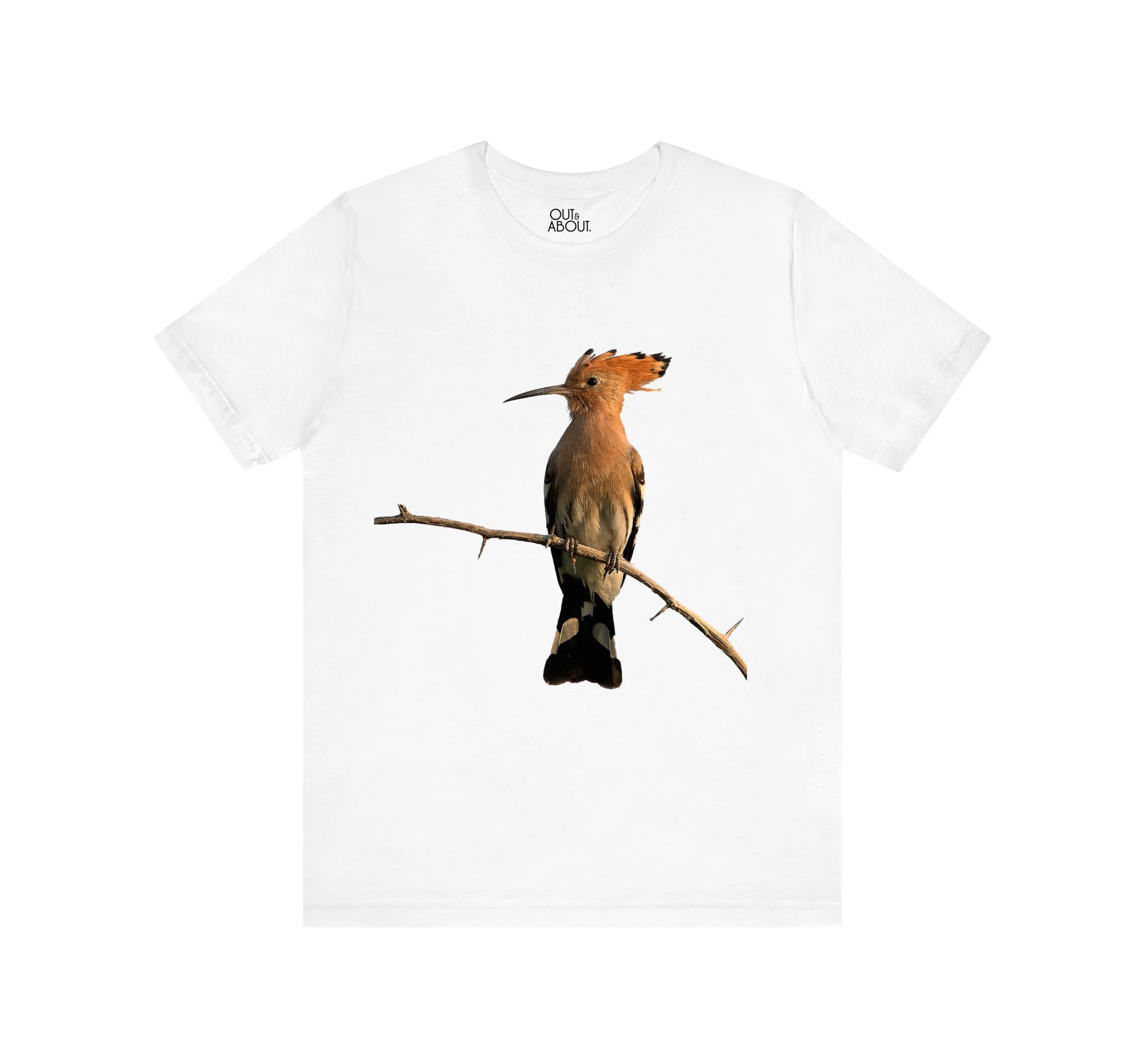 חולצה צילום דוכיפת חולצה צילום דוכיפת