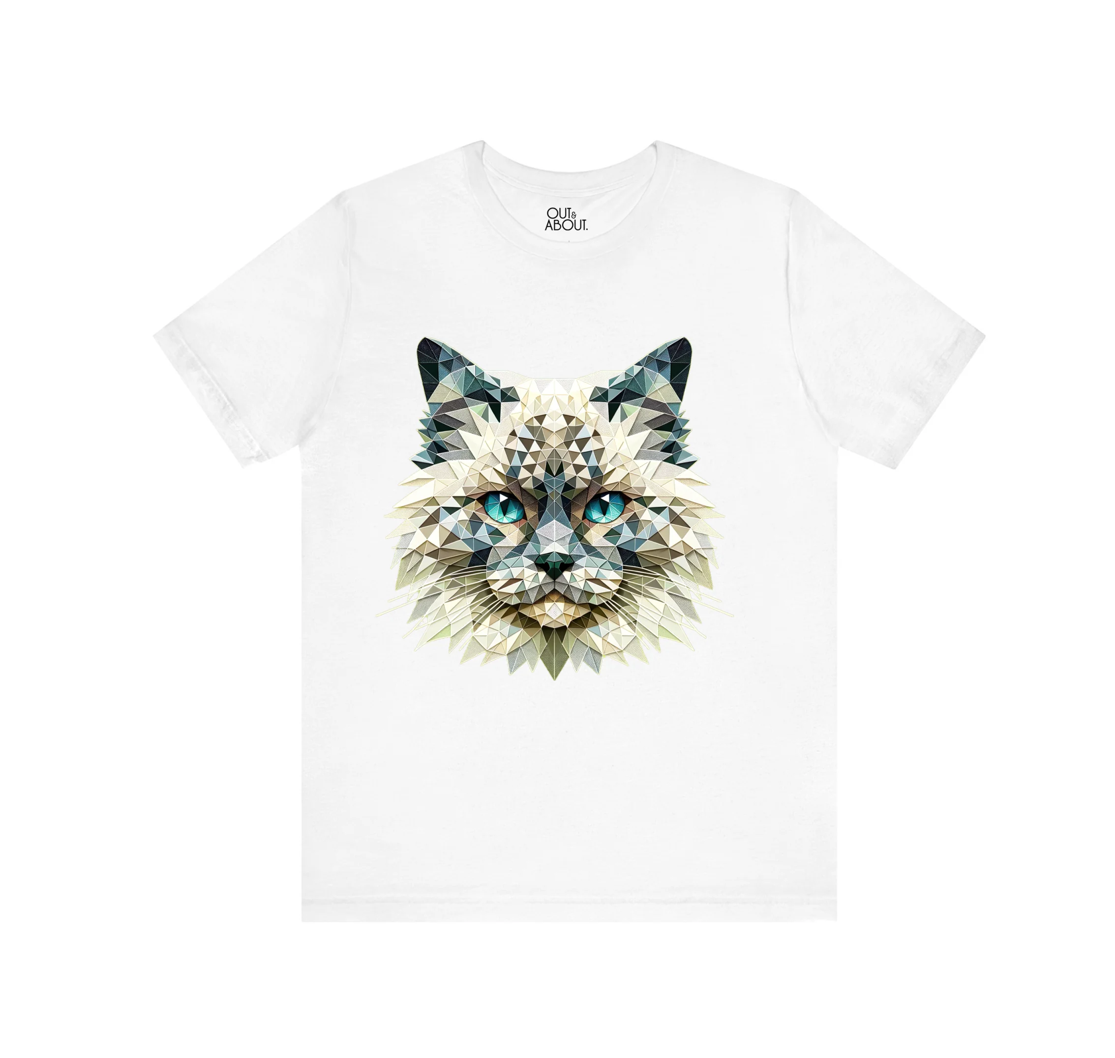 בייסיק טי Triangulated cat 3